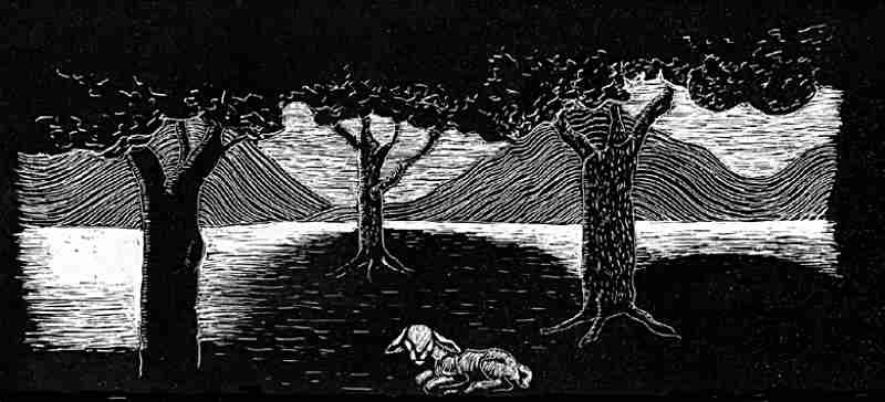 Lambscape - Art by Michael Knight